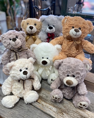Teddy Bear